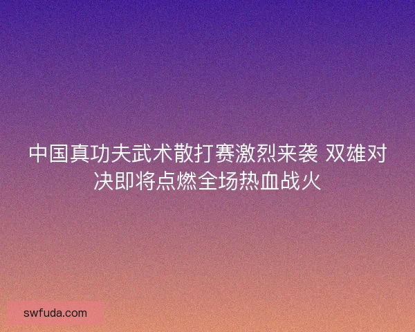 中国真功夫武术散打赛激烈来袭 双雄对决即将点燃全场热血战火