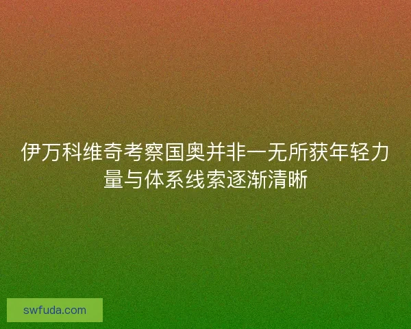 伊万科维奇考察国奥并非一无所获年轻力量与体系线索逐渐清晰 伊万科维奇考察国奥并非一无所获年轻力量与体系线索逐渐清晰